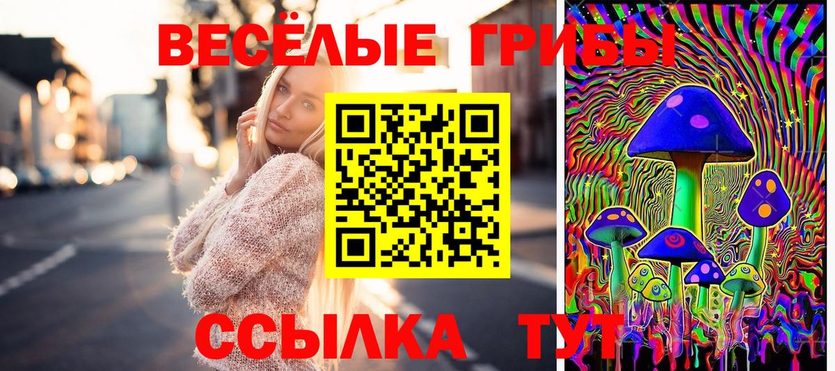 Псилоцибиновые грибы мухоморы Бердск