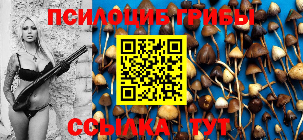 Бердск  Галлюциногенные грибы Magic Shrooms  Вход с VPN 