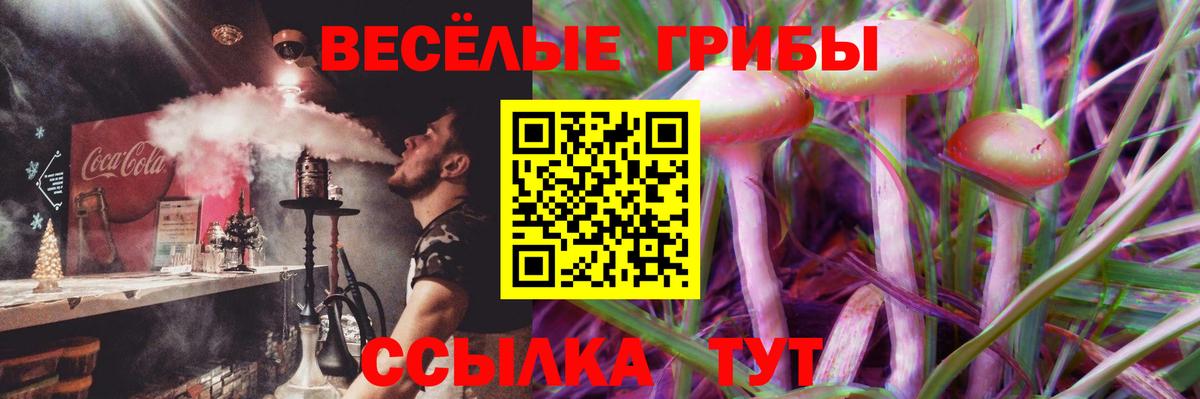 Галлюциногенные грибы Psilocybine cubensis Бердск