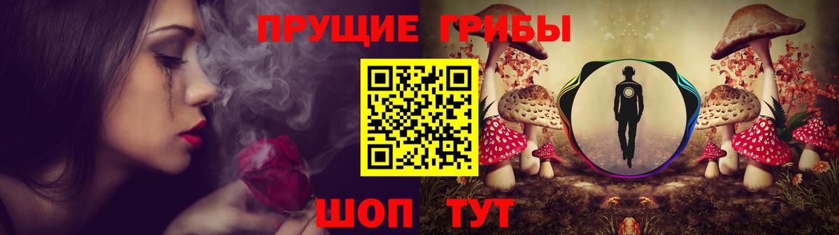 Галлюциногенные грибы MAGIC MUSHROOMS  Бердск 